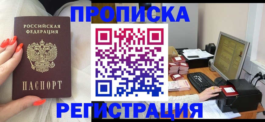 временная регистрация поиск в Новошахтинске